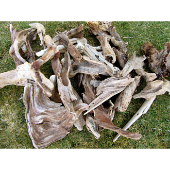 20 Assorted Beautiful Pieces Of Driftwood